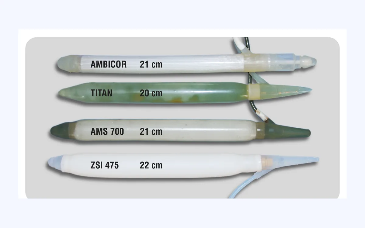 Malleable or Inflatable? Penile Prosthesis Types